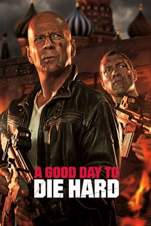 A Good Day to Die Hard (2013) Hindi Dual Audio 300MB