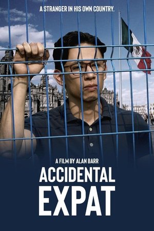 Accidental Expat (2025) Hindi (MULTI AUDIO) – – 1080p