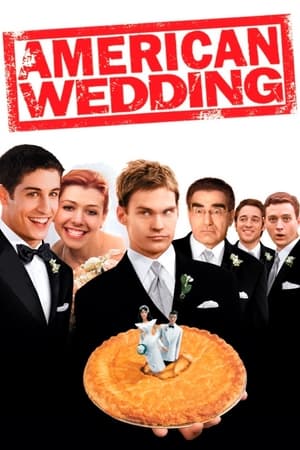 American Wedding (2003) Hindi Dual Audio 300MB