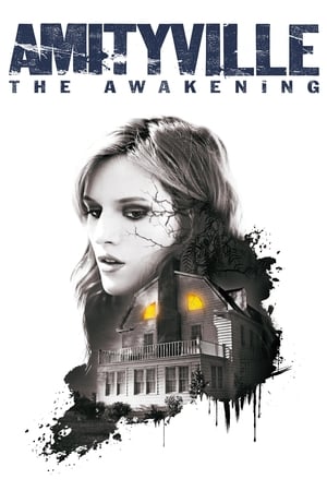 Amityville: The Awakening (2017) Hindi Dual Audio [800MB]
