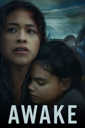 Awake (2021) Hindi Dual Audio [880MB]