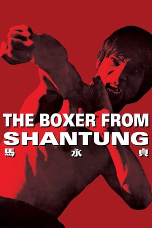 Boxer from Shantung (1972) Hindi Dual Audio 400MB