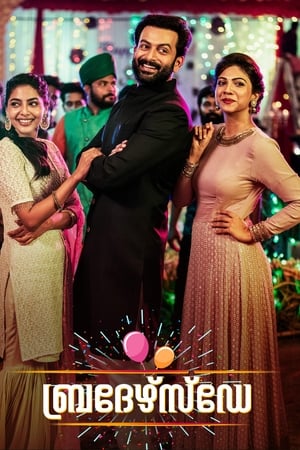 Brother’s Day (2019) (Hindi – Malayalam) Dual Audio –
