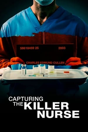 Capturing the Killer Nurse (2022) Hindi Dual Audio –