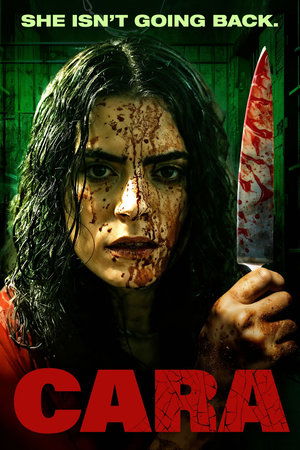 Cara (2024) Hindi (MULTI AUDIO) – – 1080p