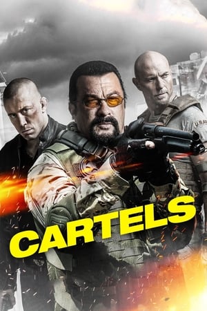 Cartels 2017 Hindi Dual Audio [900MB]