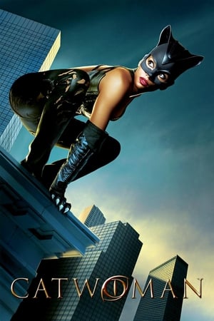 Catwoman (2004) Hindi Dual Audio [930MB]