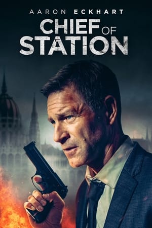 Chief of Station 2024 Hindi Dual Audio – 720p –