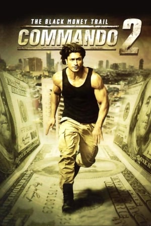 Commando 2 2017 300MB Full Movie Download