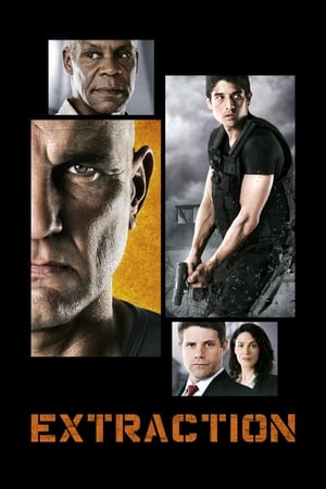 Extraction 2013 Hindi Dual Audio 330MB