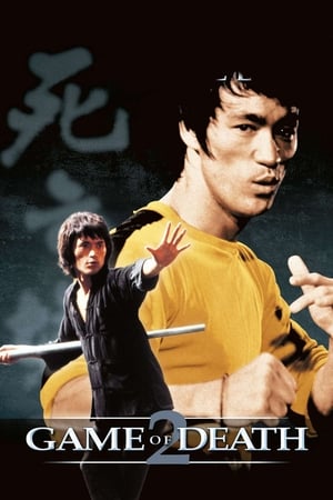 Game of Death II (1981) Dual Audio Hindi 300MB