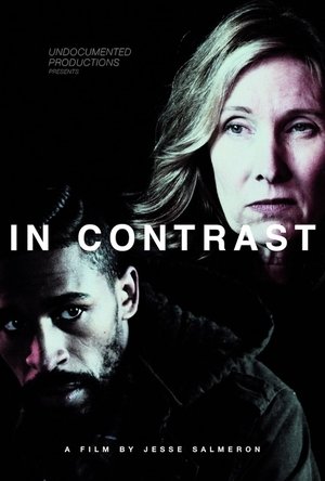 In Contrast (2025) Hindi (MULTI AUDIO) – – 1080p