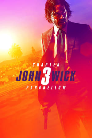 John Wick Chapter 3 Parabellum (2019) Hindi Dubbed [1GB]