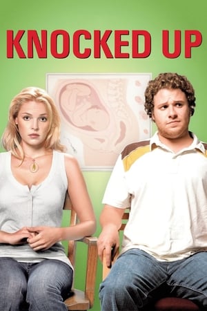 Knocked Up (2007) Hindi Dual Audio [1GB]
