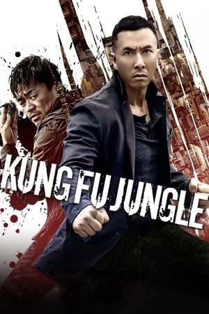 Kung Fu Jungle (2014) Hindi Dual Audio [800MB]