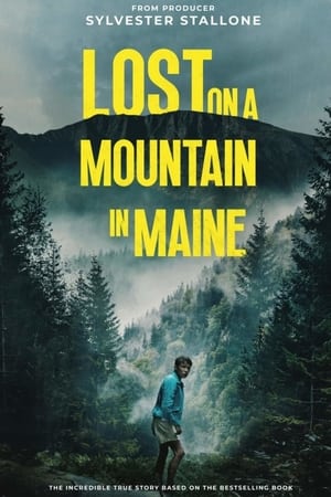 Lost on a Mountain in Maine 2024 Hindi Dubbed