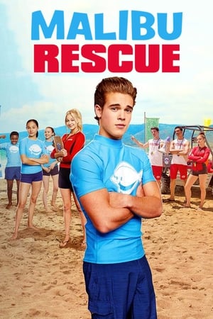 Malibu Rescue (2019) Hindi Dual Audio 650MB