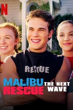 Malibu Rescue: The Next Wave (2020) Hindi Dual Audio 230MB