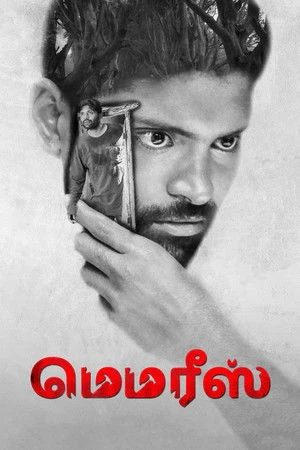 Memories 2023 Hindi Dual Audio