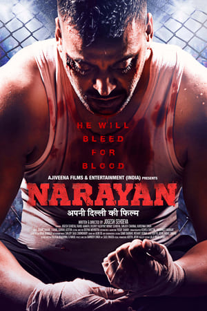 Narayan (2017) Hindi Movie [1.1GB]