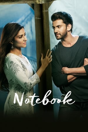 Notebook (2019) Hindi Movie [1.4GB]