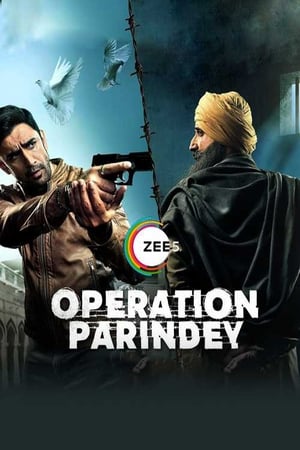 Operation Parindey 2020 Hindi Movie [500MB]