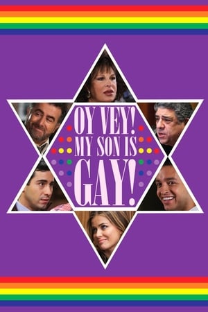 Oy Vey! My Son Is Gay!! (2009) Hindi Dual Audio 300MB