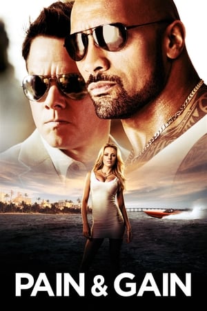 Pain & Gain 2013 400MB Dual Audio Hindi Download