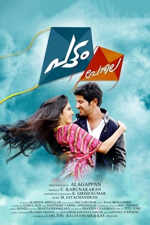 Pattam Pole (2013) (Hindi – Malayalam) Dual Audio 400MB