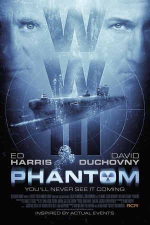 Phantom 2013 Hindi Dual Audio 300MB