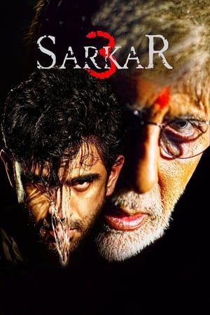 Sarkar 3 2017 190mb hindi movie Download