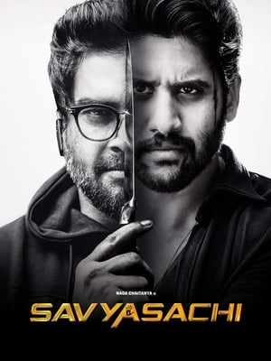 Savyasachi (2018) Hindi Dual Audio [1.2GB]