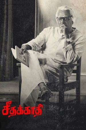 Seethakaathi (2018) Hindi Dubbed 400MB