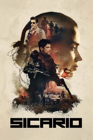 Sicario 2015 Hindi Dual Audio 350MB
