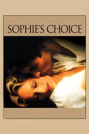 Sophie's Choice (1982) Dual Audio Hindi 460MB
