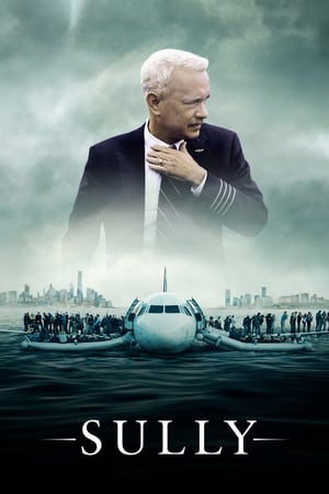 Sully (2016) Hindi (Unofficial Dubbed) Dual Audio [] [720p]