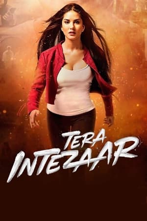 Tera Intezaar 2017 Movie [850MB]