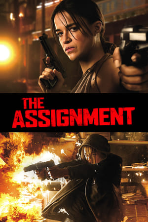 The Assignment (2016) Hindi Dual Audio [850MB]