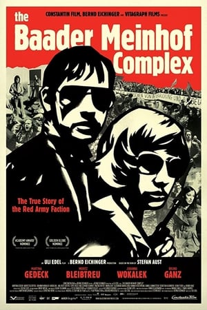 The Baader Meinhof Complex (2008) Hindi Dual Audio [1.2GB]