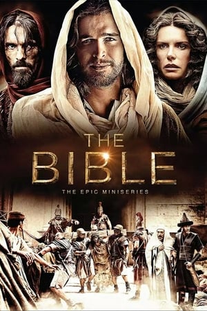 The Bible 2013 S01E05 (Hindi) Dubbed [250MB]