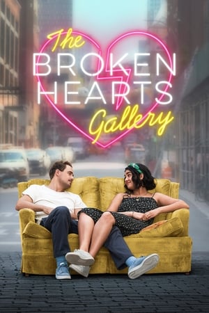 The Broken Hearts Gallery (2020) Hindi Dual Audio 340MB