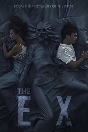The Ex (2021) Hindi Dual Audio –