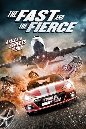 The Fast and the Fierce 2017 Hindi Dual Audio 300MB