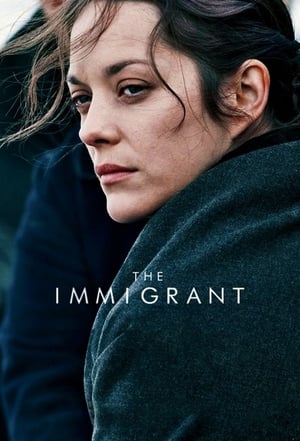 The Immigrant (2013) Hindi Dual Audio 300MB