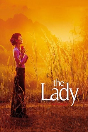 The Lady 2011 Dual Audio Hindi Movie - 920MB