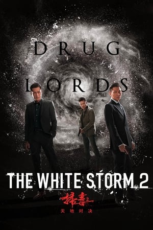 The White Storm 2: Drug Lords (2019) Hindi (Org) [950MB]