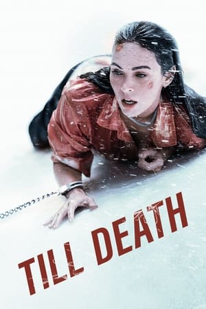 Till Death (2021) Hindi Dual Audio [750MB]