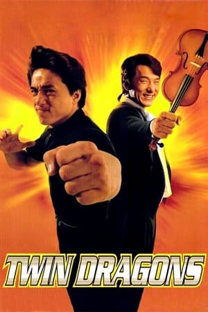 Twin Dragons (1992) 100mb Hindi Dual Audio movie Download