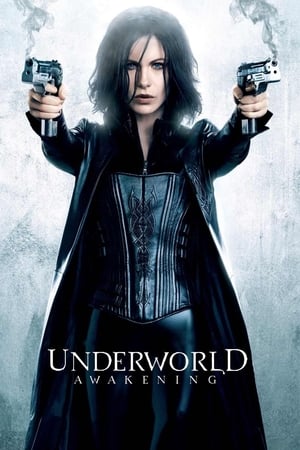 Underworld Awakening (2012) 100mb Hindi Dual Audio movie Download