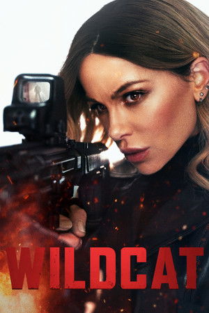 Wildcat (2025) Hindi (MULTI AUDIO) – – 1080p